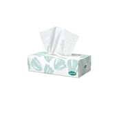 Sorbent Professional TAD Facial Tissue 2 ply Box of 100 Sold as Each 48 in a Carton