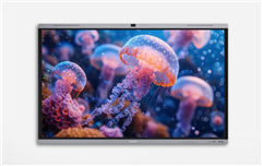 MAXHUB U series U7540 75